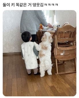 임신 6주