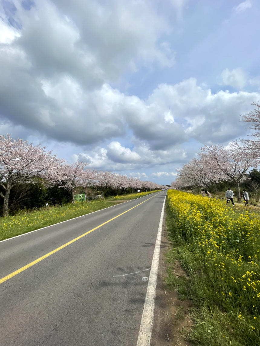 가시리 풍력발전단지 외부도로
