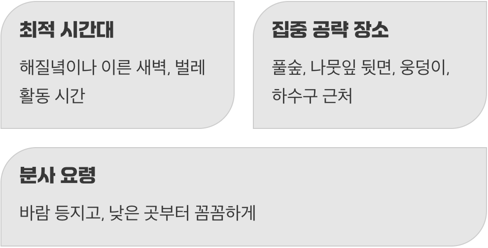 효과를 200% 높이는 사용 꿀팁