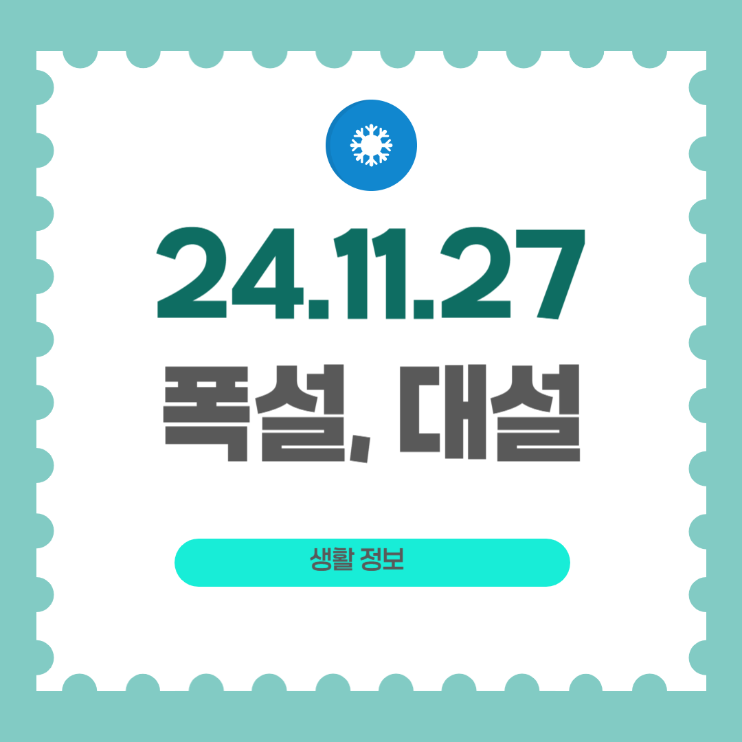 폭설