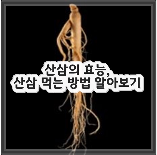 산삼의 효능, 산삼 먹는 방법 알아보기