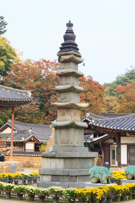 공주 유용한 여행 정보 알아보기