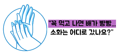 소화 안될때 지압