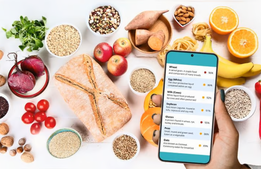 음식물 과민증 검사 원인, 증상, 검사 방법 및 식단 관리 가이드