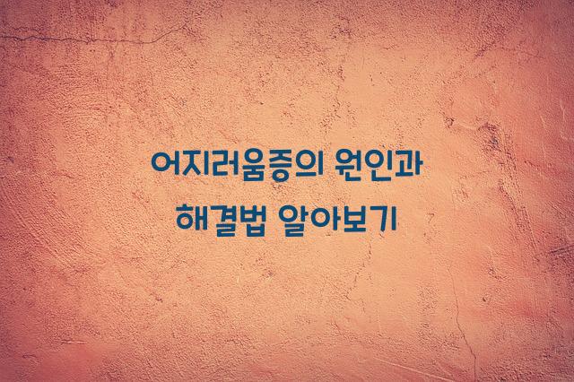어지러움증의 원인