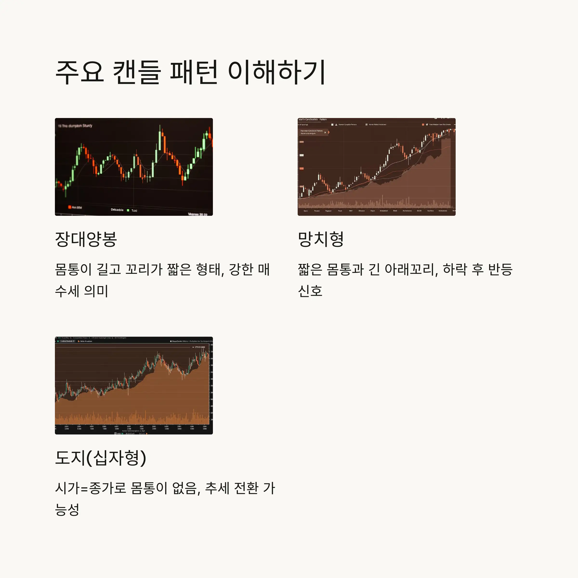 🎯 투자에 활용하는 방법