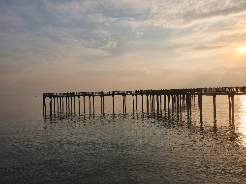 월문온천
궁평항