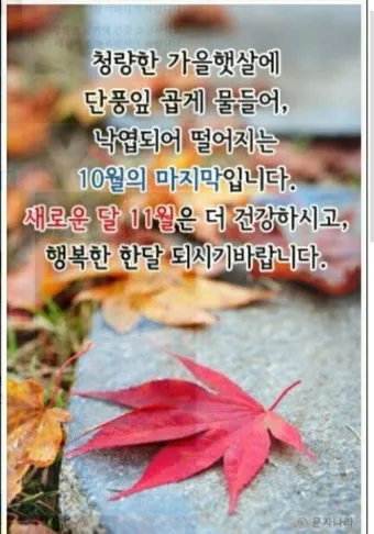 10월 인사말 문구 모음 정리_7