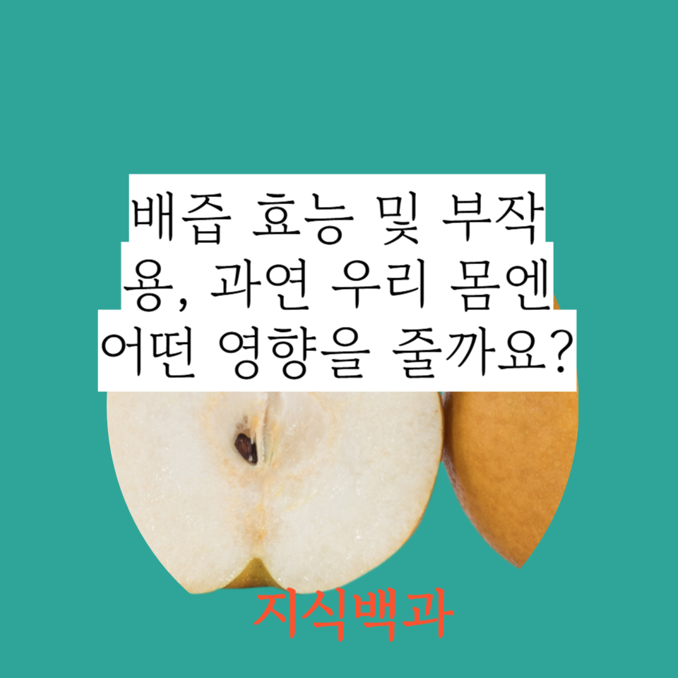 배즙 효능 및 부작용, 과연 우리 몸엔 어떤 영향을 줄까요?