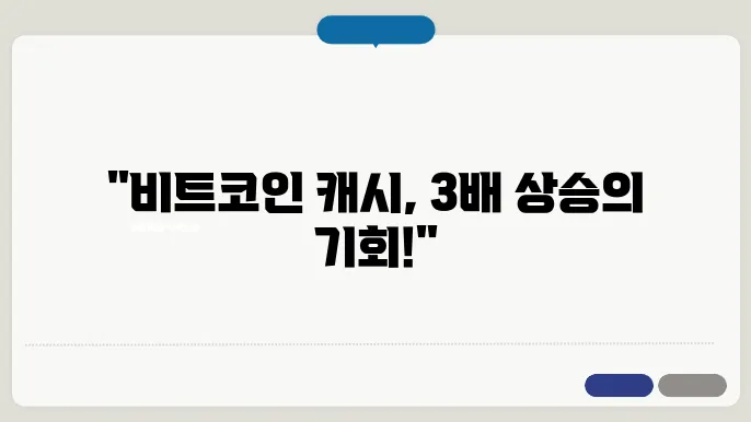 비트코인 캐시의 투자 요인과 시세 동향