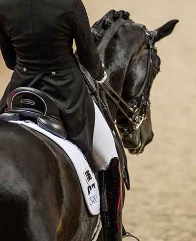 말의 안장위에 올라탄 모습