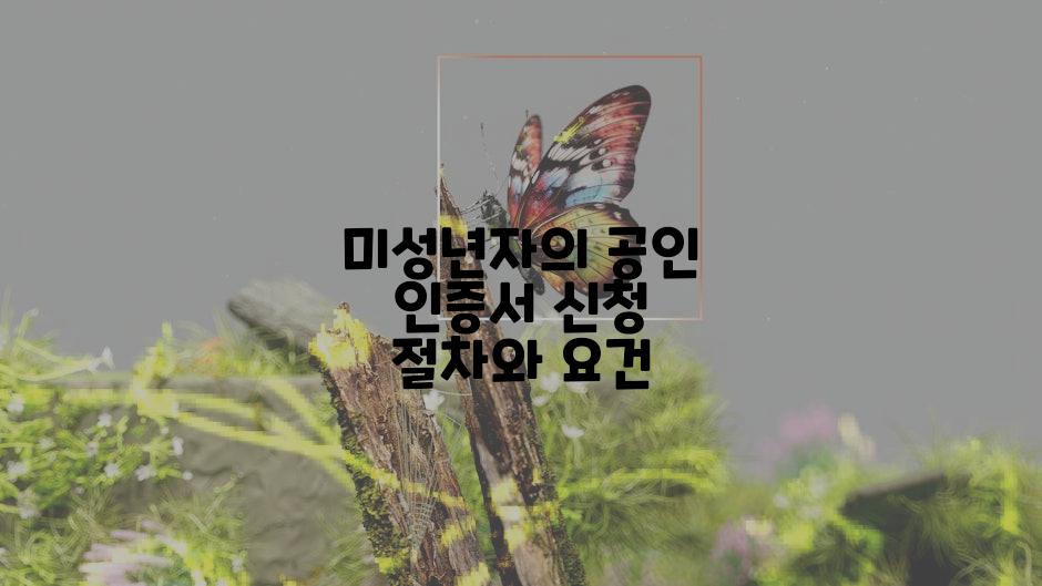 미성년자의 공인 인증서 신청 절차와 요건