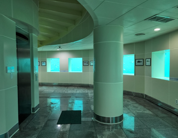 울릉도,독도여행