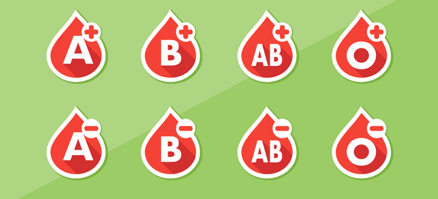 낙지 효능은 빈혈에도 도움이 된다