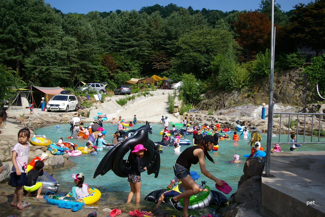 경기-동두천-산야초자연캠핑장-예약-방법-애견-동반-가격-주소-시간-후기