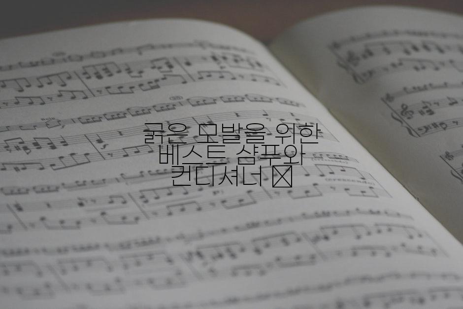 굵은 모발을 위한 베스트 샴푸와 컨디셔너 🧴