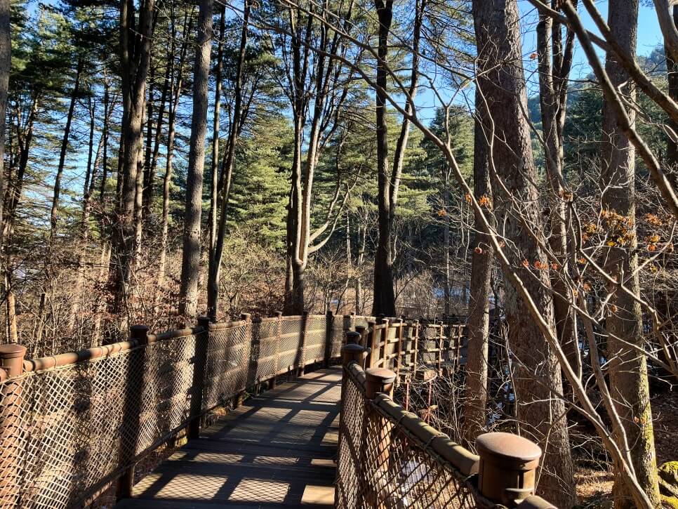 산림청 명품숲길 겨울 트레킹 : 가평 잣향기 피톤치드길 코스&middot;주차&middot;팁