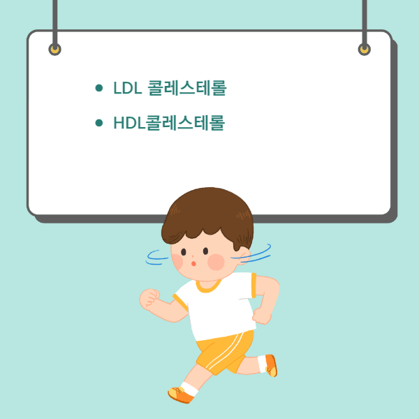 콜레스테롤