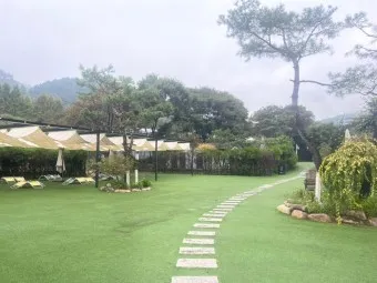 양평 가볼만한곳 베스트10 두물머리 연잎핫도그_25