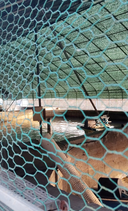 멀리보이는 양식장모습