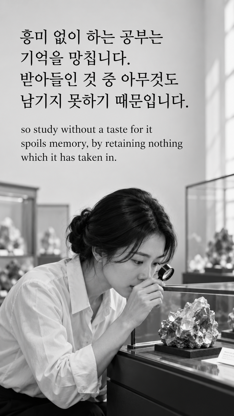 흥미 없이 하는 공부는 기억을 망칩니다. 받아들인 것 중 아무것도 남기지 못하기 때문입니다. &mdash; 박물관의 광물 표본을 확대경으로 관찰하는 성인 여성 한 명, 현대 단정한 셔츠, 밝고 세밀한 흑백사진