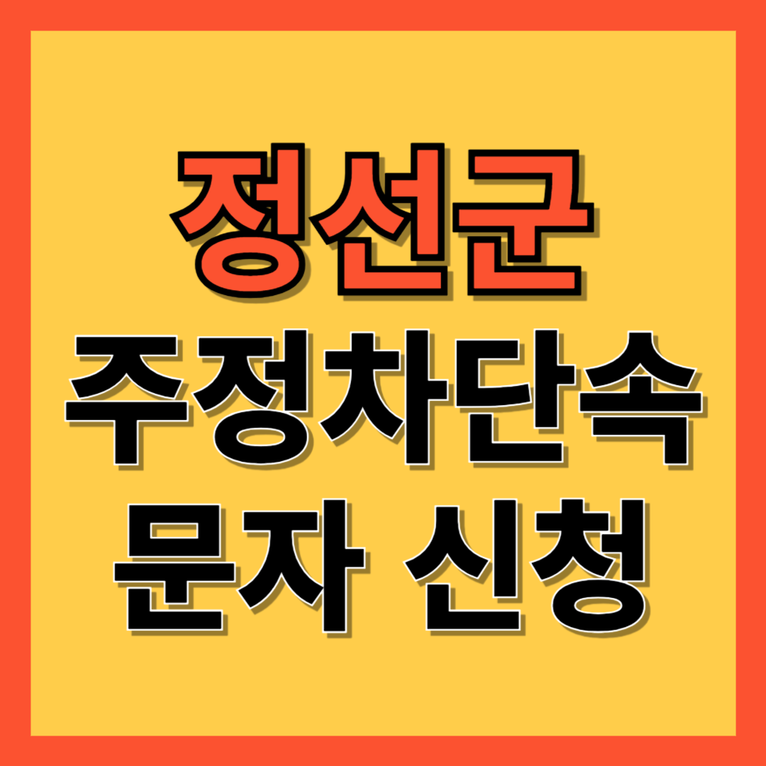 정선군 주정차 단속 알림 서비스 신청 방법 ❘ 주차단속 문자알림서비스