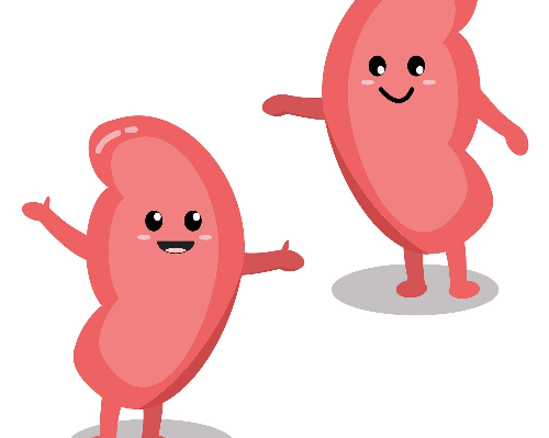 신장에 나쁜 음식