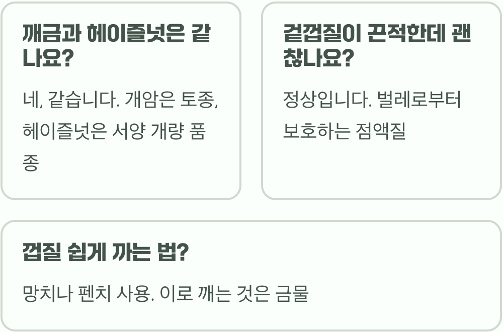 깨금 채취 시기&amp;#44; 언제 따야 가장 고소하고 맛있을까? (8월 vs 9월)