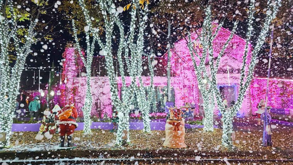 청도프로방스-포토랜드