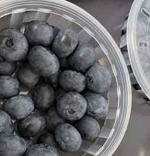 제주블루베리