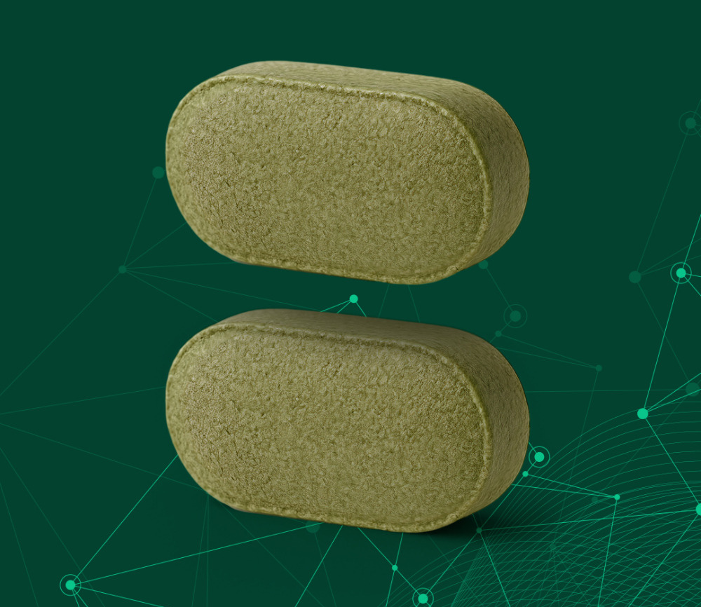 칼덱신정,칼덱신정 부작용,칼덱신정 가격,칼덱신정 약국,칼덱신정 후기,칼덱신정 내돈내산,다이어트 보조제,건강기능식품