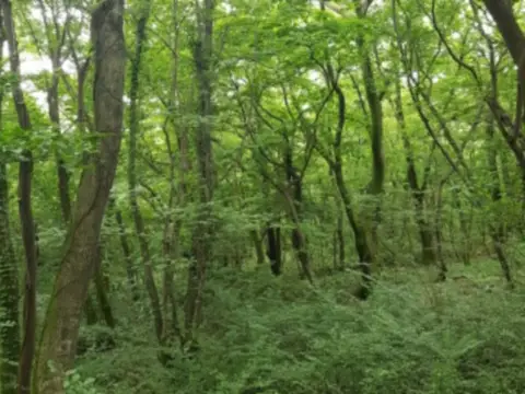 제주도-가을여행