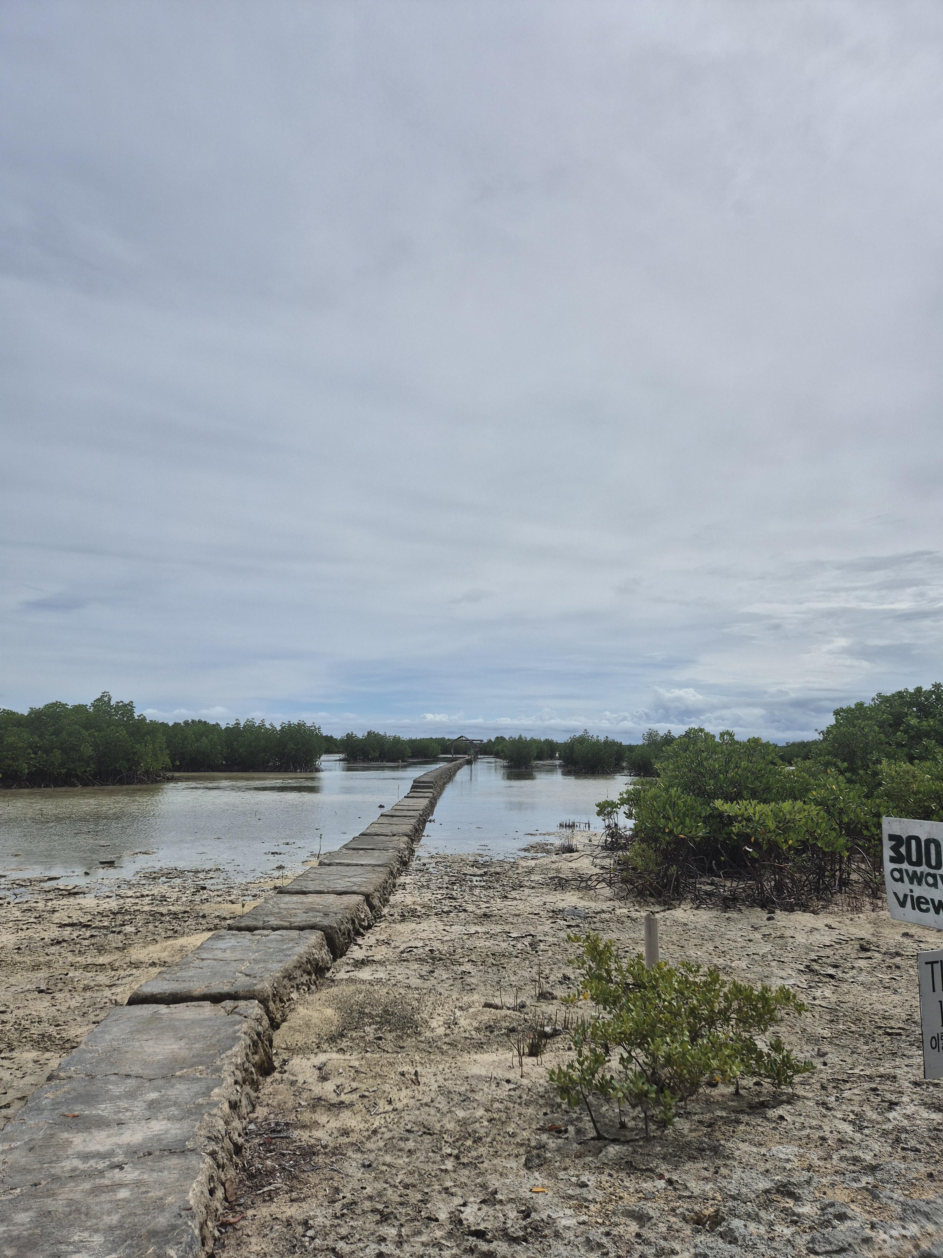 버드 생츄어리 전망대 가는 길