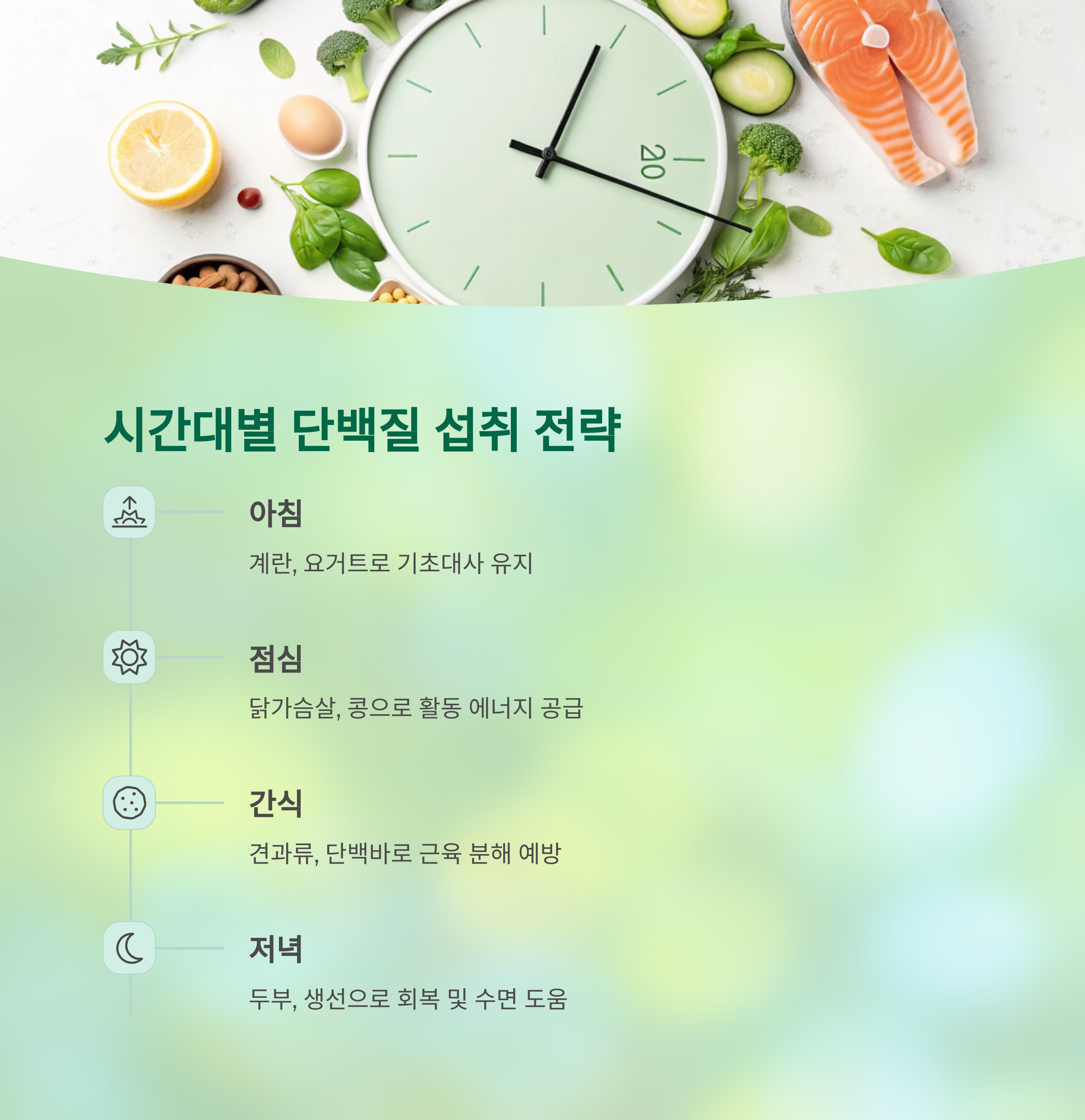 단백질 이렇게 먹으면 오히려 독? 중년 체력에 치명적인 진실 - 중년이 되면 단백질, 무조건 많이 먹는 게 답일까? - 시간대별 섭취 전략으로 흡수율 높이기 단백질 이렇게 먹으면 오히려 독? 중년 체력에 치명적인 진실 - 중년이 되면 단백질, 무조건 많이 먹는 게 답일까? - 시간대별 섭취 전략으로 흡수율 높이기