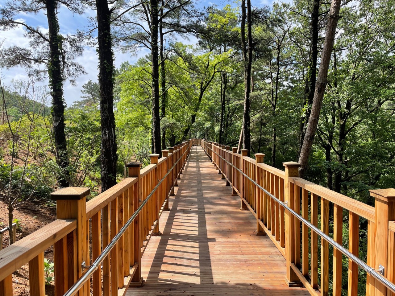 계룡 가볼만한곳 베스트10