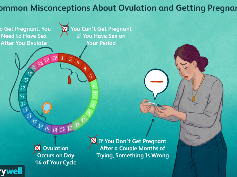 아기를 빨리 갖으려면 The fastest way to get pregnant? Ditch the apps and just have sex every other day, experts say