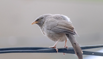 토지대장 무료열람 방법 2