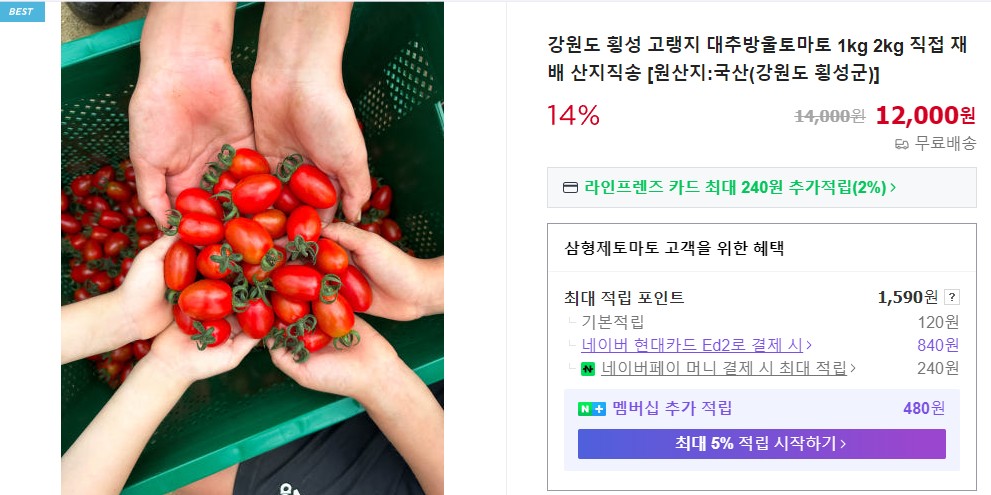 6시내고향 횡성 고랭지 대추방울토마토 스마트스토어