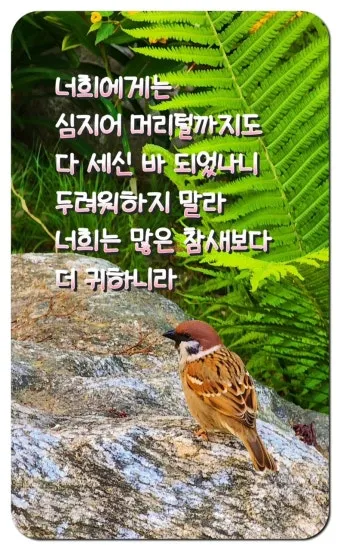 매일성경묵상(누가복음 12장 13-34절) 누가 네 인생의 주인이냐?_19