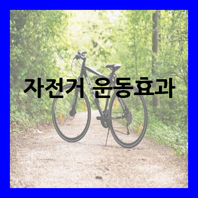 자전거 운동효과