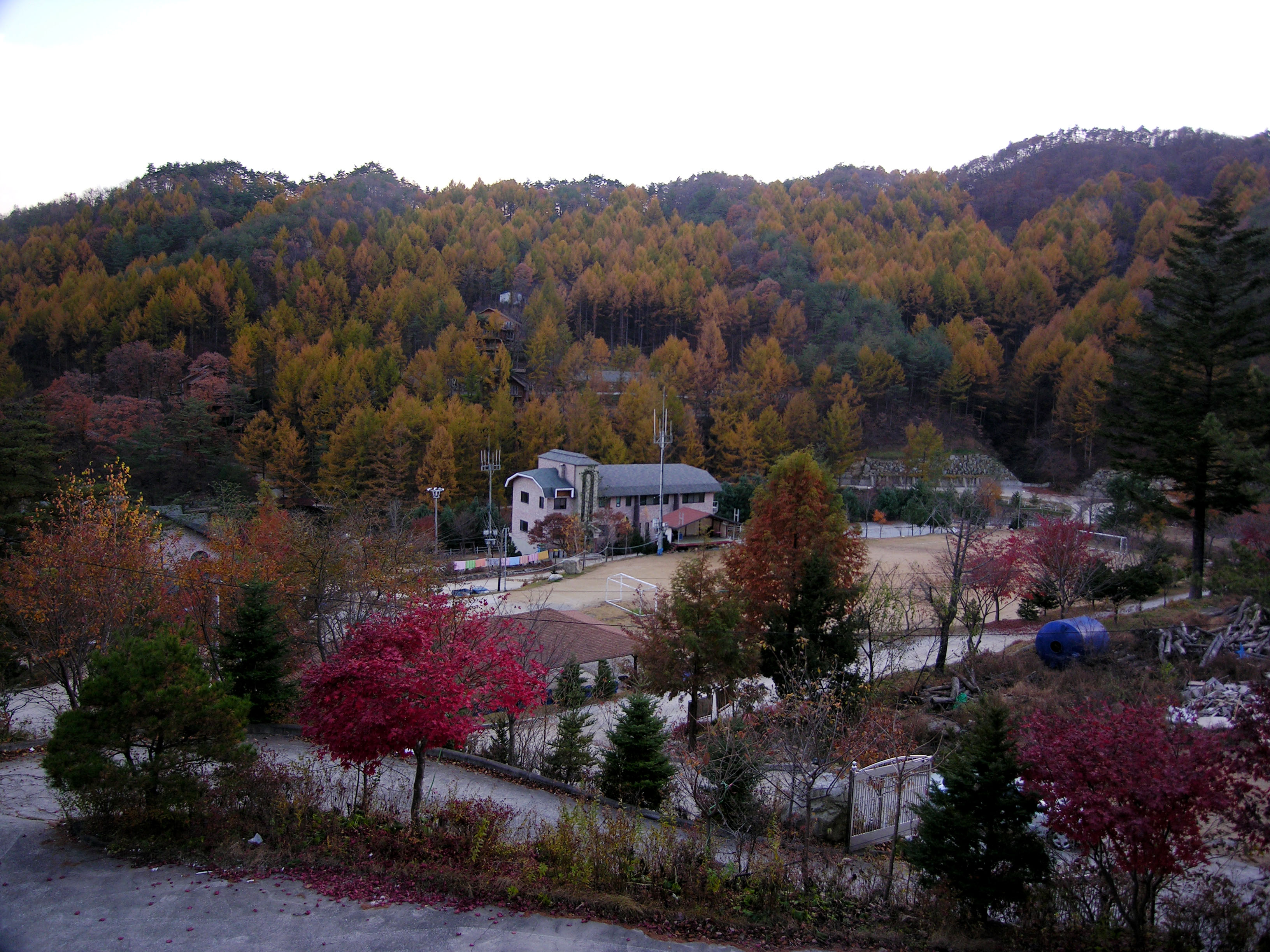 강원도 영월 피노키오 숲 자연휴양림 예약 숙소 계곡 트레킹 여행 할인 단풍 날씨 정보