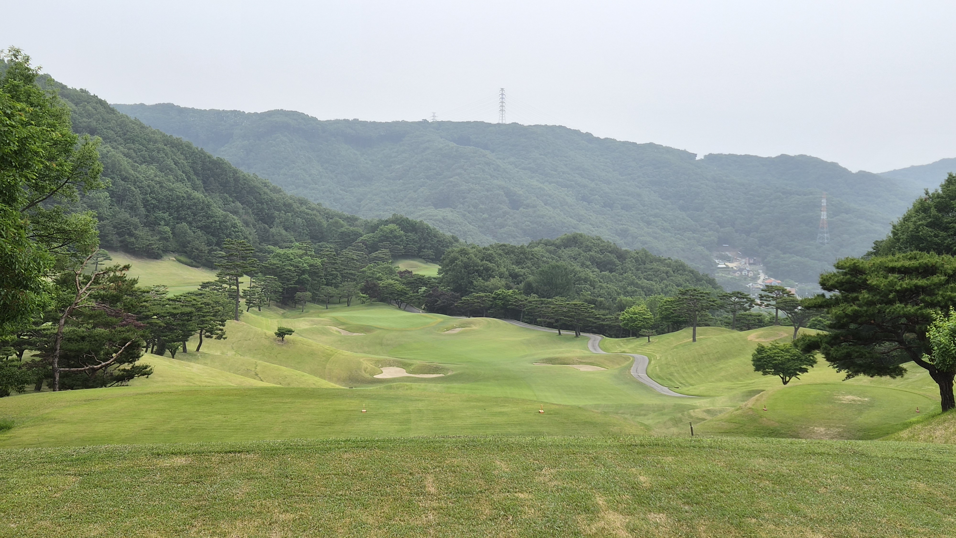천룡cc 황룡-청룡 코스 사진 및 공략 정보