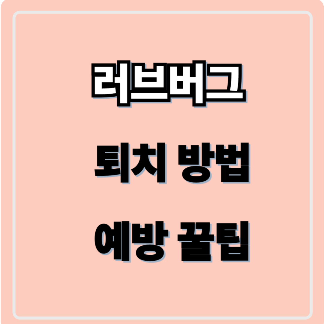 러브버그 란? 러브버그 퇴치법 : '붉은등우단털파리' 어떻게 없앨까?
