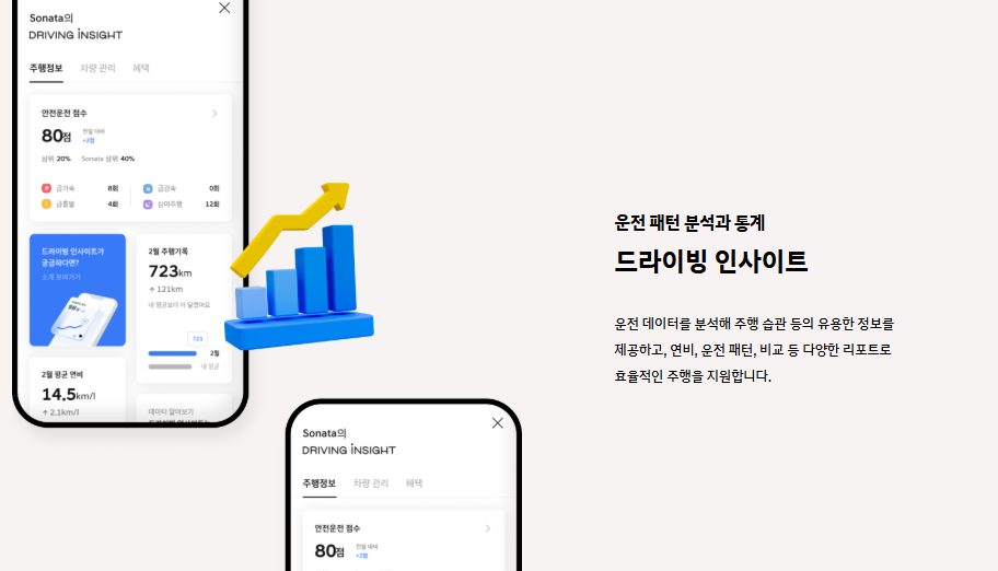 마이현대 3.0 기능 - 드라이빙 인사이트