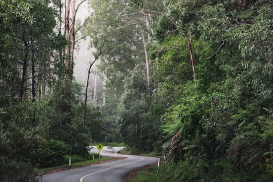 2024년 장마, 시기/기간/강우량/장마대비/건강관리/교통대비/장마와 휴가