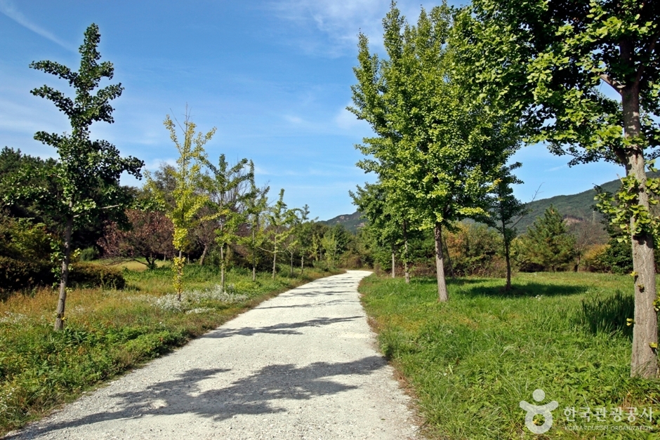 진안 가볼만한곳 베스트10