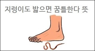 지렁이도 밟으면 꿈틀한다 뜻