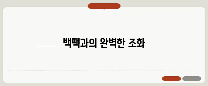 갖고 싶은 백팩과 함께하는 여가활동 블로그 후기