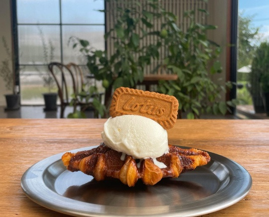 제부도 애견동반 카페 '오솔길'