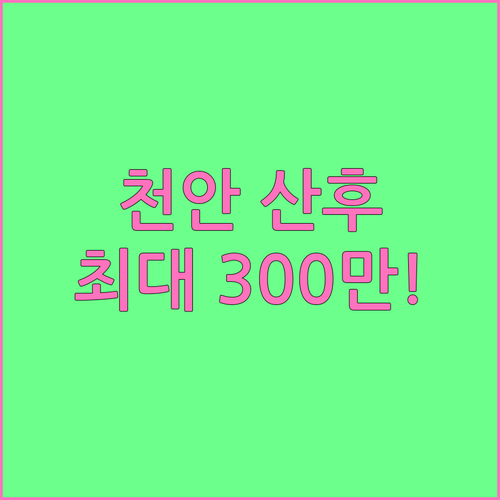 천안형 산후조리 지원 2025 50만..